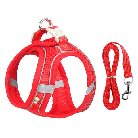 Dog Harness Leash Set for Small Dogs